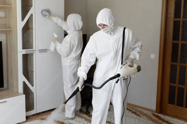 Professional Mold Removal in Buffalo, NY