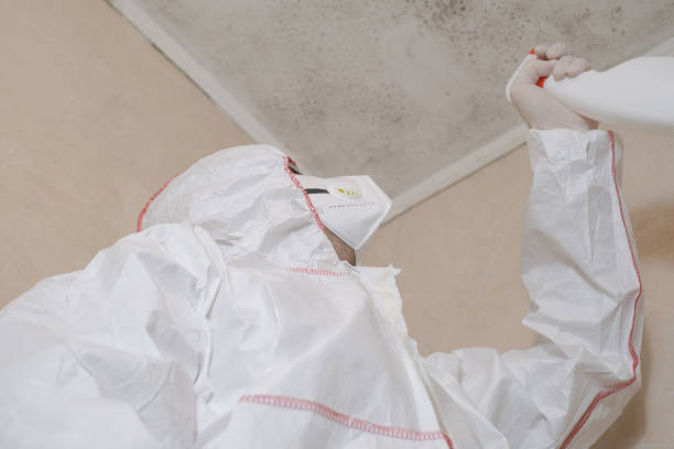 Best Toxic Mold Removal  in Buffalo, NY